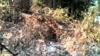 Madison Co. Brush Fire Ruled Arson