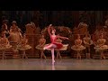 SLEEPING BEAUTY - Violente - Force - Fairy of Golden Vine (Sabrina Mallem - Opera de Paris)