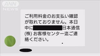 日本通信を名乗る詐欺に注意　「支払い確認できず」(19/08/01)