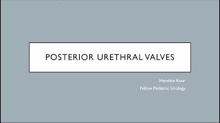 Posterior Urethral Valve
