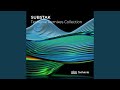 Echo 4 (Substak Shifting Depth Remix)