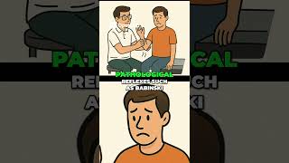Hemiplegia Physiotherapy Evaluation A Comprehensive Guide