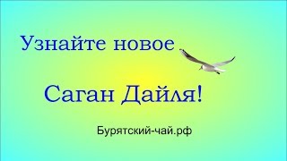 Узнайте новое про Саган Дайля