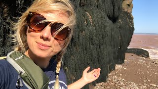 WORLD’S LOWEST TIDE! Hopewell Rocks, Bay of Fundy, New Brunswick | Canada Travel Vlog