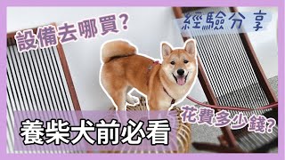 SHIBA｜柴寶小樂日記｜養柴犬前必看，養柴犬要花多少錢？