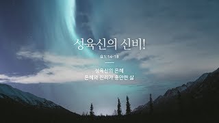 [2부 주일예배]성육신의 신비!