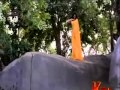 Download malayil yaaro malarodu pesa margali vaadai methuvaga vesa In Mp4 3Gp Full HD Video