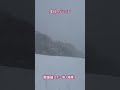 【長野県大町市】本日のゲレンデは鹿島槍スキー場（滑走日数13日）五竜スキー場11時頃ゲレンデサイド駐車場満車。さのさか移動した時雨。昨シホーム鹿島槍スキー場吹雪。今某店でお湯割り中🩷 shorts