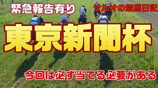 【緊急報告あります】東京新聞杯予想