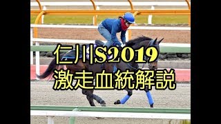 仁川S2019　激走血統の紹介！ダートはミスプロが強い！【ナムラアラシ抜けました…】