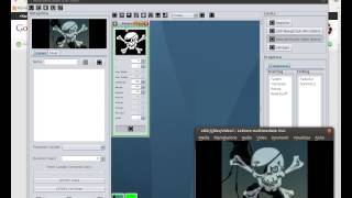 Testing WS Module V4l2loopback