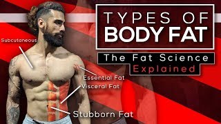 4 TYPES OF BODYFAT YOU MUST KNOW (The Fat Science Explained)