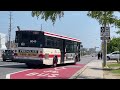 ttc 2007 orion vii 8049 training bus