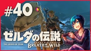 #40【SWITCH】広大な世界を駆け抜けろ！ゼルダの伝説ブレスオブザワイルド初見プレイ【実況】