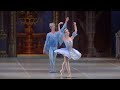 p. tchaikovsky. the sleeping beauty act 3 aurora s wedding