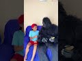 deixe o gorila dormir funny shorts gorilla