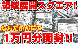 【呪術廻戦】領域展開スクエアで１万円分グッズ購入！京都校もフル登場！名札バッジでまさかのあの人登場！？