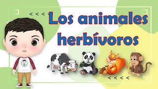 Los ANIMALES HERBIVOROS y su clasificacion para niños de primaria.--   alimentacion de los animales