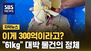 이게 300억 원이라고? '61kg' 대박 노리려다… (자막뉴스) / SBS