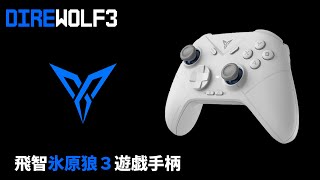 FLYDIGI DIREWOLF 3 レビュー！　ちょっと改造すると大化けするぞ！