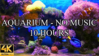 Aquarium 4K Video Ultra HD NO MUSIC and NO ADS - 10 Hours | Fish Tank Sounds For Sleep