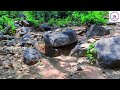 😲 வருடம் முழுதும் தண்ணி வரும் வாலறும்பு அருவி கடவூர் vaalarumbu falls kadavur kadavur karur