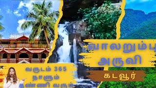 😲 வருடம் முழுதும் தண்ணி வரும் வாலறும்பு அருவி கடவூர் | Vaalarumbu Falls Kadavur #kadavur #karur