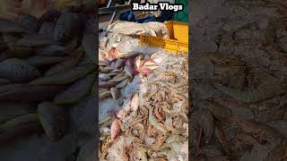 Ponnani harbour vlog #ponnani #badarvlogs #fish #fishingvideo #crab #reels #shorts #kerala #india