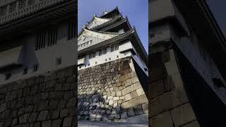 早朝の大阪城  #shorts #osakacastle