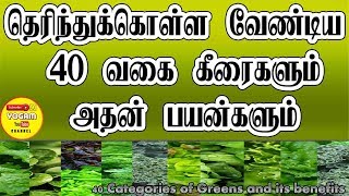 40 வகை கீரைகளும் அதன் பயன்களும் | Greens Uses | 40 Kinds of Greens and its benefits | Yogam