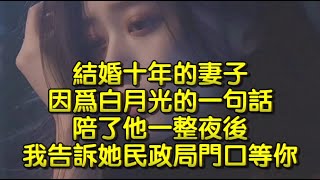 結婚十年的妻子因爲白月光的一句話，陪了他一整夜後，我告訴她民政局門口等你