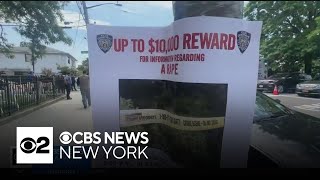 NYPD manhunt for suspect after girl sexually assaulted in park