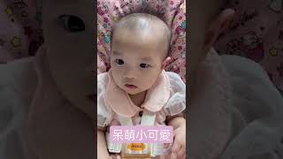 呆萌小可愛#cute#寶寶#嬰兒#可愛#療癒#小朋友#record#baby#taiwan#babies#love#short#shorts #育兒 #育兒日記 #女寶寶