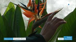 Poitiers : la serre tropicale du jardin des plantes