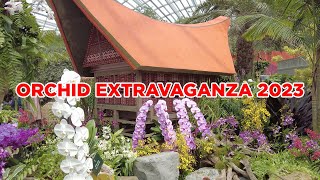 Orchid Extravaganza 2023: Orchids of the East Tropics || Walking Singapore