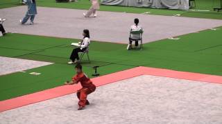 Ryosuke Kishi. 2013 The 30th All Japan Wushu Chanpionships. Men's Chang quan