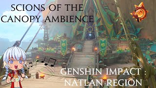 Genshin Impact - Scions of the Canopy 1 Hour OST Loop