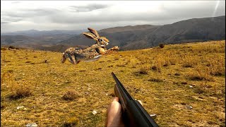 KEKLİK VE TAVŞAN AVI | TAVŞAN BANA ÇARPACAKTI | HARE HUNTING | PATRIDGE HUNTING | صيد الحجل والأرانب