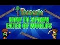 Terraria How To Spawn Eater Of Worlds