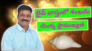 లైవ్ వాస్తు లో శంఖము యొక్క ప్రాముఖ్యత || Importance Of Conch Shells [shankam] in live vaasthu