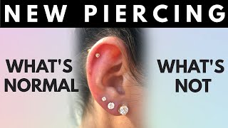 New Piercing? What's Normal, What's Not. Things to Look Out For.