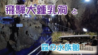 飛騨大鍾乳洞と森の水族館