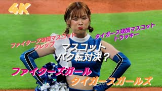 2023.6.10  ファイターズガール＆フレップ＆ポリー、タイガースガールズ＆トラッキー。マスコットバク転対決？