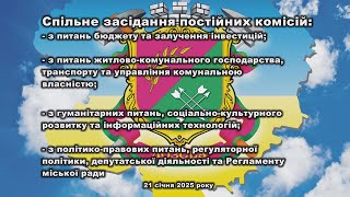 Спільне засідання постійних комісій  21 січня 2025 року