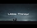 niwel little things lyrics visualmusic edm