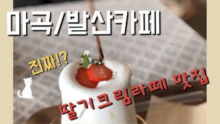 [vlog] 마곡카페 카페다다 엔틱한 분위기 너무 좋아❤️🧀☕️