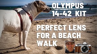 Olympus 14-42mm Perfect Lens for a beach walk with my dog. Easy Compact and Sharp | Wanda Beach NSW