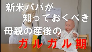 【妻のガルガル期】〜新米パパの独り言〜 #7