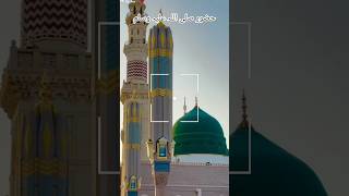 Hazrat zainab R.A ka bayan #islamic #bayan #video #status