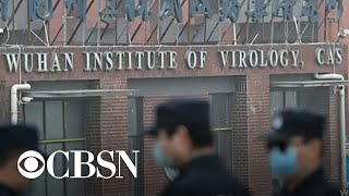 U.S. intelligence community divided on origins of COVID-19